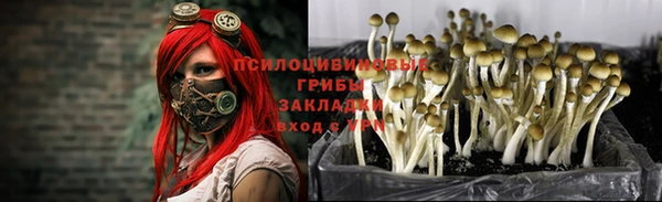 соль ск Алексеевка