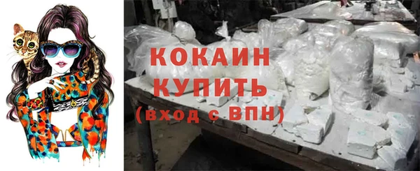 spice Куйбышев