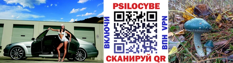 Купить где  Мамадыш  Псилоцибиновые грибы Psilocybe 